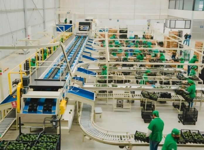 Imagen de WhatsApp 2025-09-30 a las 19.52.54_cf3cfc12