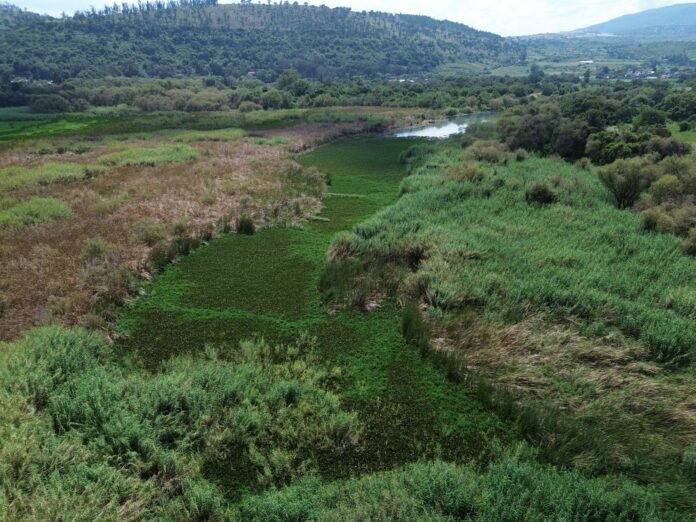 Imagen de WhatsApp 2025-10-01 a las 17.35.12_7333e981