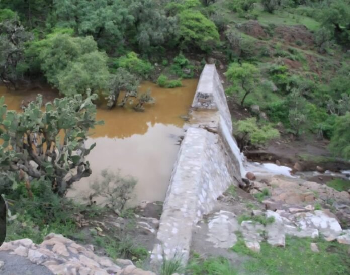 Imagen de WhatsApp 2025-10-13 a las 17.26.10_767dc340