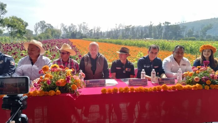 Imagen de WhatsApp 2025-10-16 a las 12.04.09_64aad402