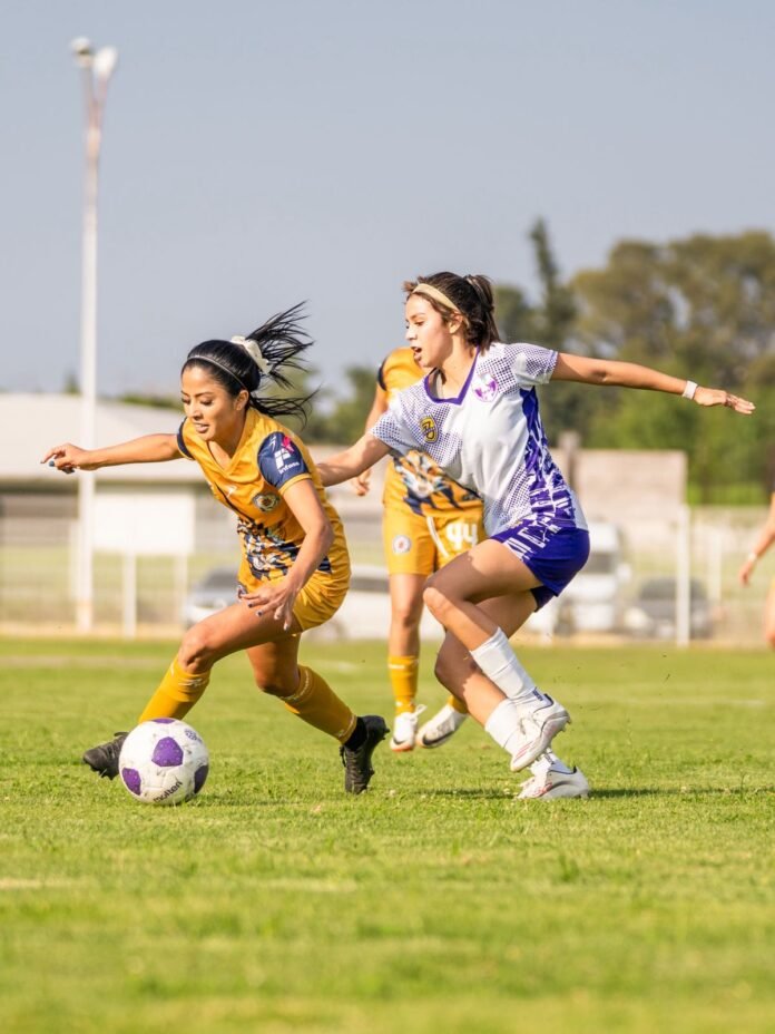 Imagen de WhatsApp 2025-10-17 a las 19.35.08_3730b487