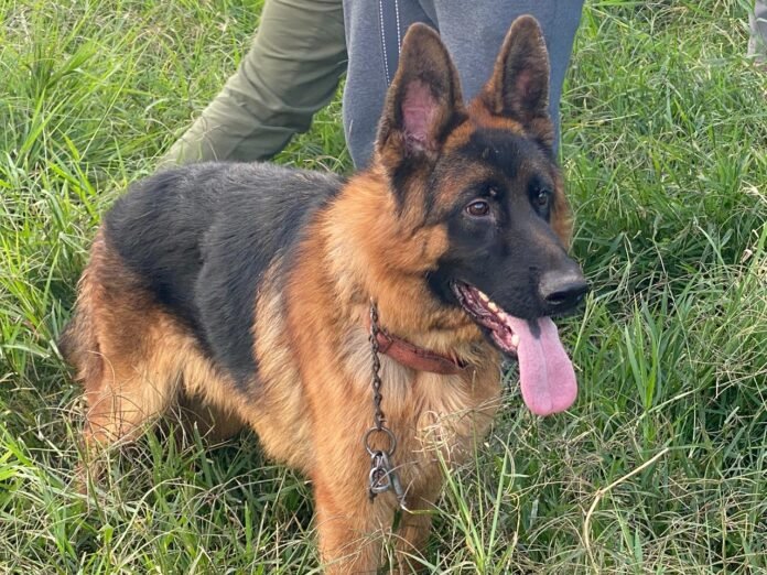 Imagen de WhatsApp 2025-10-17 a las 20.57.13_29f1acff