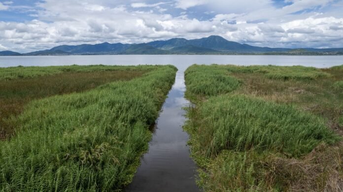 Imagen de WhatsApp 2025-10-22 a las 09.20.29_2e2a344d