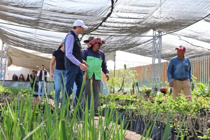 Imagen de WhatsApp 2025-10-23 a las 12.20.11_0fe7ee6c